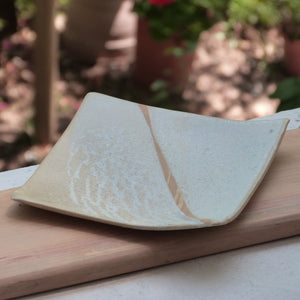 Soil square plate